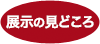 展示のみどころ